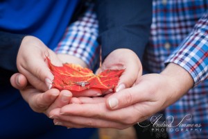 Maine engagement and wedding photographer