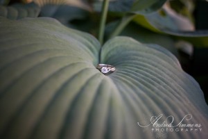 Maine engagement and wedding photographer