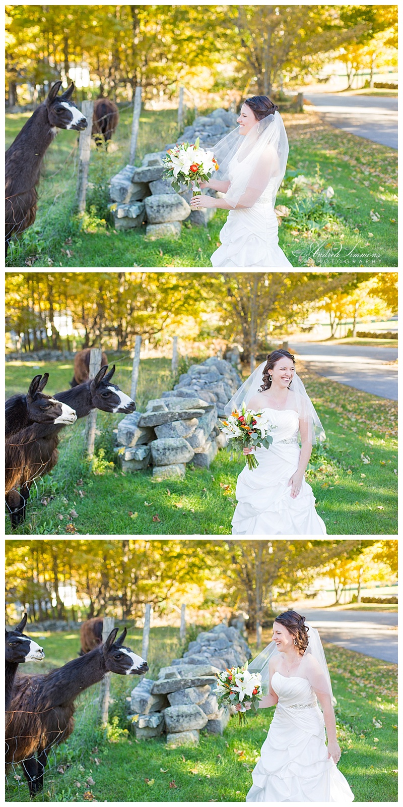 hallowell maine wedding at the maple hill inn and farm