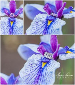 maine engagement and wedding photographer