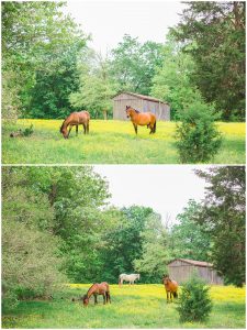 maine natural bright airy family photographer